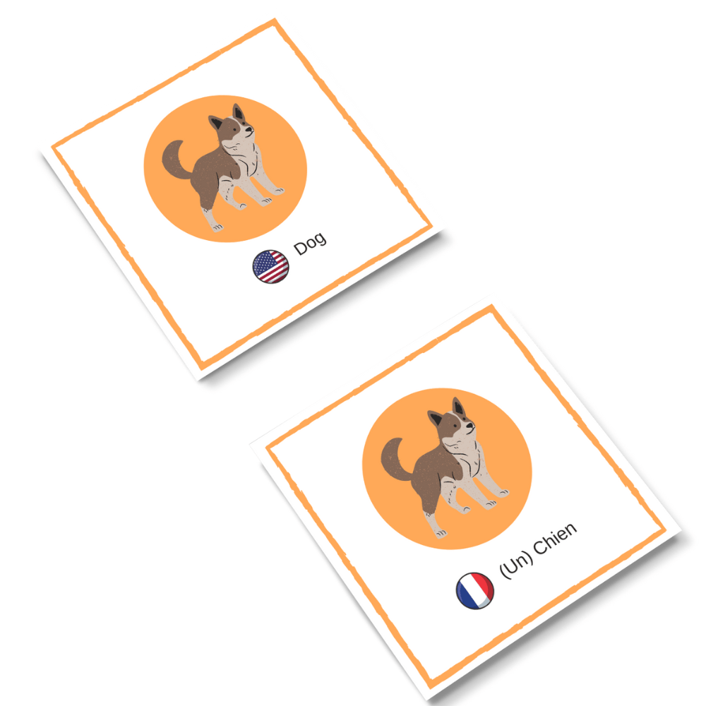Animals Flashcards English-French